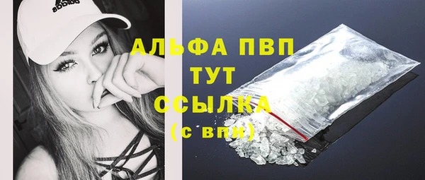 прущий лед Абаза
